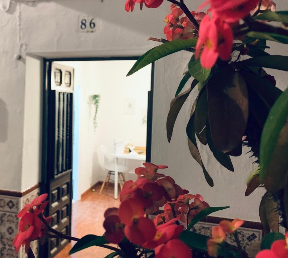 Casa Rural Dian - Centro Torrox טורוקס מראה חיצוני תמונה